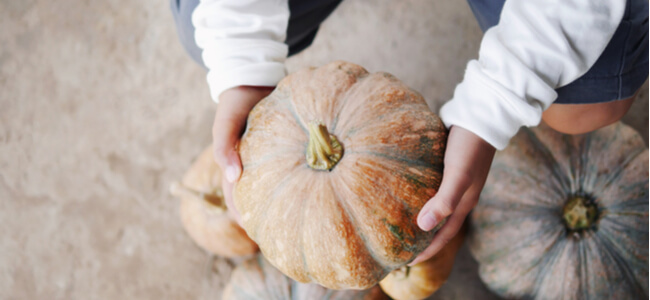 Child boy hands picking up pumpkin